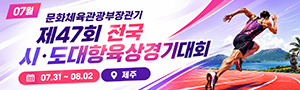 문화체육관광부장관기 제47회 전국시·도대항육상경기대회