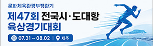 문화체육관광부장관기 제47회 전국시·도대항육상경기대회